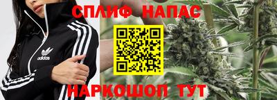 крисы Будённовск