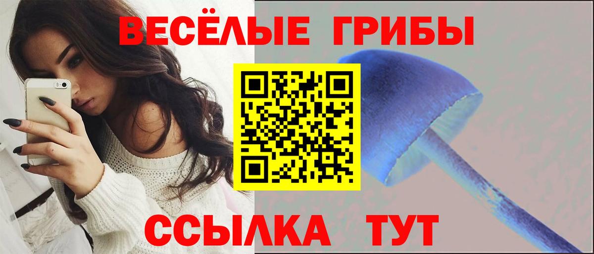 Псилоцибиновые грибы мухоморы Новоалтайск